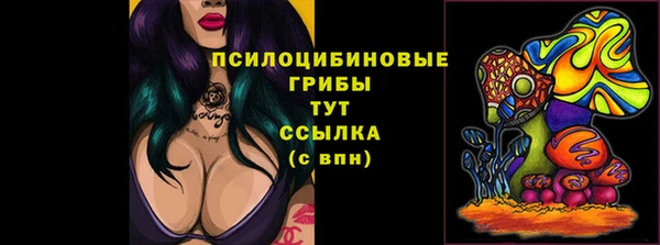 PSILOCYBIN Абинск