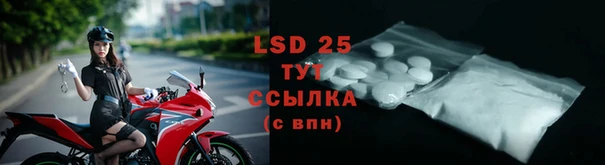 PSILOCYBIN Россошь