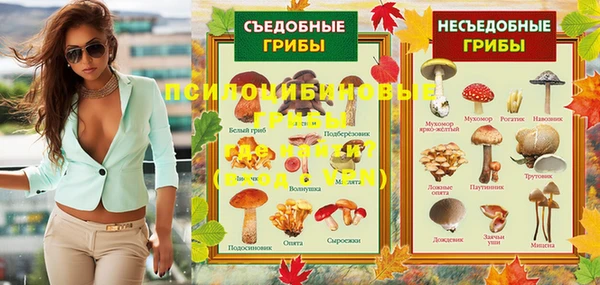стафф Рославль