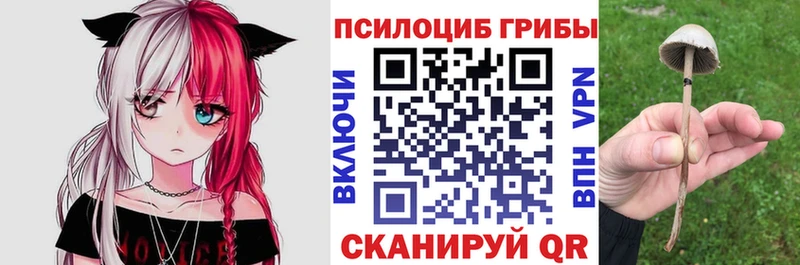 Галлюциногенные грибы Psilocybine cubensis Карпинск
