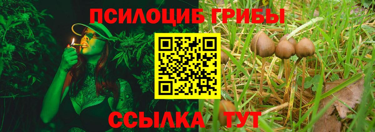 Карпинск  где можно купить наркотик  Вход с VPN  Галлюциногенные грибы Psilocybe 