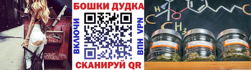Марихуана SATIVA & INDICA Карпинск